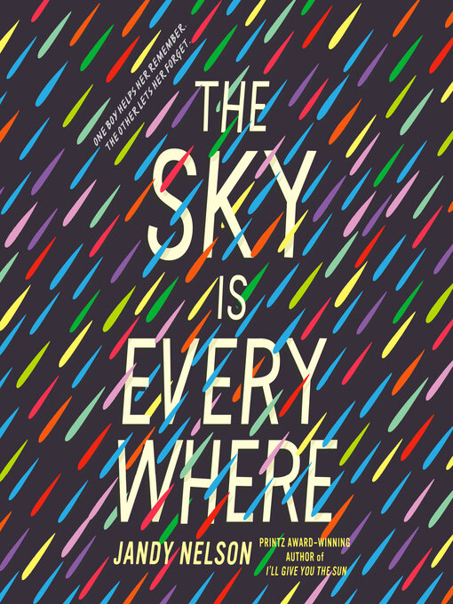 Title details for The Sky Is Everywhere by Jandy Nelson - Available